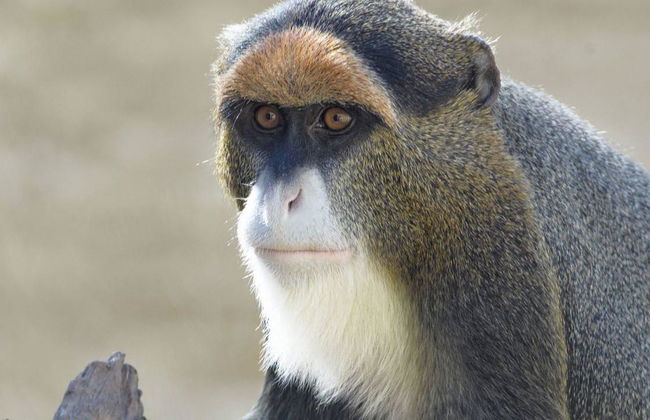 Eingangsboden Natura Murcia - Foto 3